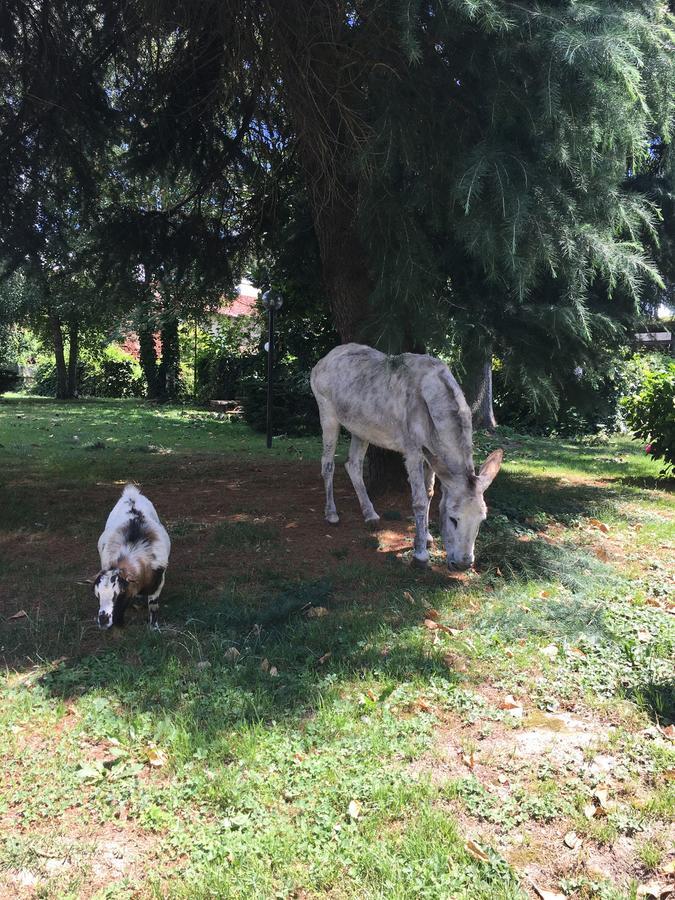 Il Trattore Moncalieri Zewnętrze zdjęcie